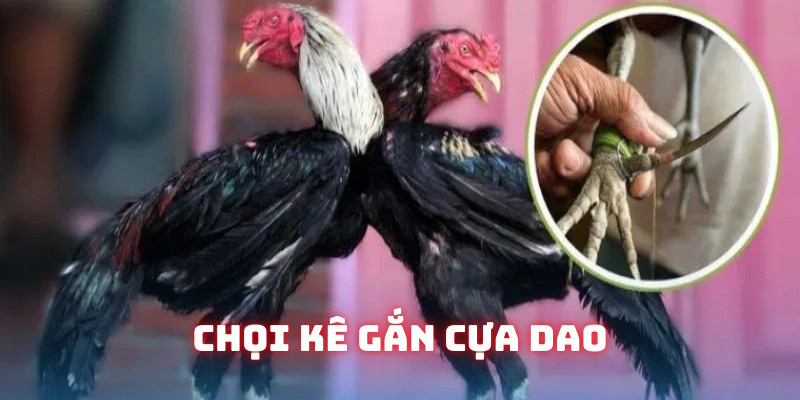 Loại hình cựa dao tốc độ cao