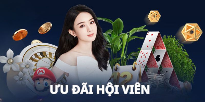 Thành viên sẽ tận hưởng nhiều ưu đãi đặc biệt từ nhà cái